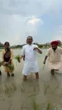 Shivraj Singh Chouhan Plants Paddy in Ayodhya, Backs Green Manure