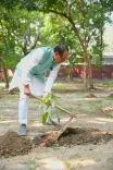 Shivraj Singh Chouhan Plants Sapling in Delhi, Invites Public