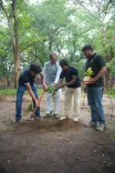 Shivraj Singh Chouhan Plants Sapling in Delhi, Launches 'Vriksh Mitra' Drive