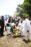 Shivraj Singh Chouhan Plants Trees at Nabanna, Kolkata