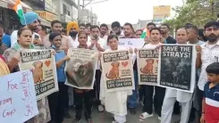 श्री मुक्तसर साहिब में बेजुबानों के हक में निकाली गई शांतिपूर्ण रैली, सुप्रीम कोर्ट के आदेश का विरोध