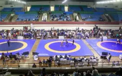 क्या 2025 में कुश्ती में जूनियर्स ने सफलताएँ पाई, सीनियर्स का प्रदर्शन कैसा रहा?