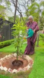 Sitharaman Inaugurates Aayakar Sindhu IT Complex in Mumbai