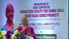 Sitharaman urges SIDBI to deepen MSME cluster support