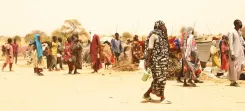 What is the Current Situation in Sudan's North Darfur?