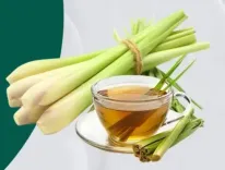 लेमन ग्रास: त्वचा की सफाई से लेकर इम्युनिटी में सुधार तक, जानें इसके अद्भुत लाभ