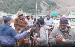 सोनमर्ग में पर्यटकों की बाढ़, मौसम ने सभी का दिल जीता