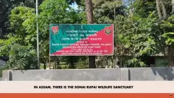 Sonowal hails PM Modi's Mann Ki Baat nod to Assam wildlife