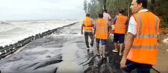 South Bengal yellow alert: Heavy rain in 4 districts for 2 more days