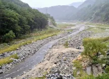 Has the Water Storage Rate in Gangneung Finally Increased After 52 Days?