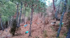 Did North Korea's Drone Infiltration Claims Get Refuted by South Korea's Defence Minister?