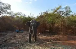 How is Sri Lanka Planning to Revive Tourism After Cyclone Ditwah?