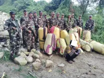 SSB seizes 325.5 kg ganja in Arunachal's West Kameng, one held