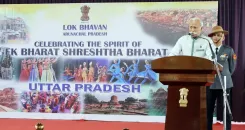 How do Statehood Day celebrations promote unity and national integration?