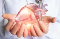 स्टेम सेल से हृदय वाल्व टिशू निर्माण में ऑस्ट्रेलियाई वैज्ञानिकों की बड़ी सफलता, बच्चों के इलाज की नई उम्मीद