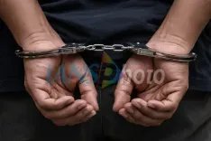 Stray dog shot dead in Karnataka: man booked for unlicensed firearm, animal cruelty