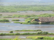 Is There a Strong Connection Between Land Use and Water Pollution in Manipur's Loktak Lake Catchment?