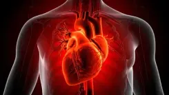 Study links common diabetes drug with cardiovascular risk