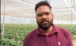 नीरज पटेल की सफलता: सब्सिडी से हुई जरबेरा की खेती में लाखों की कमाई