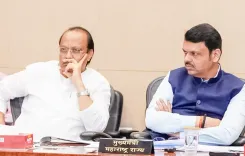 When Will the Sugarcane Crushing Season Begin? Maharashtra CM Announces Start Date