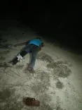 सुल्तानपुर में पुलिस मुठभेड़: 2 गोकशी तस्कर गिरफ्तार, फिरोज के पैर में लगी गोली