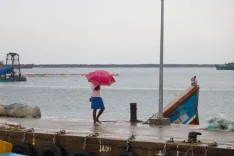 क्या तमिलनाडु के 7 जिलों में मौसम संबंधी चेतावनी जारी की गई है?