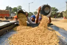 क्या केंद्र ने तमिलनाडु में धान की नमी की जांच के लिए विशेषज्ञ दल नियुक्त किए?