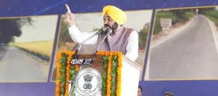 तरनतारन उपचुनाव के लिए क्या हरमीत सिंह संधू को मिला टिकट?