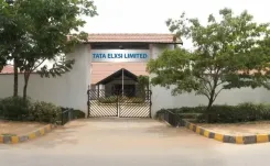 Why Did Tata Elxsi’s Q3 Net Profit Plunge by 45% to Rs 109 Crore?