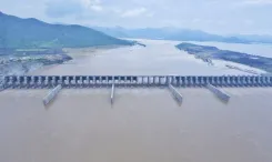 Did Telangana Withdraw Its Writ Petition Against Andhra Pradesh’s Polavaram Project?