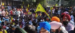 What’s Causing Tension at Panjab University Over Senate Polls?
