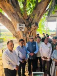Tharoor Shares Banyan Tree Straddling Two Nations' Border