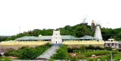 Basar temple theft: Silver crown, hundi stolen from Gnana Saraswathi premises