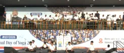 International Yoga Day 2025: Thousands gather in Chandigarh, Haryana for 12th edition