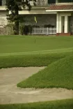 Three Delhi Golf Club players to compete at 78th Singapore Open Amateur