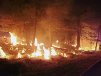 Three US wildland firefighters killed near Colorado-Utah border as fires surge
