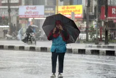 IMD warns of thunderstorms, hail and gusty winds in MP till May 8