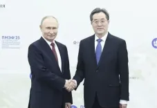 तिंग शुएश्यांग ने व्लादिमीर पुतिन से मुलाकात की