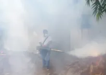How is the TN government tackling the surge in dengue and typhoid cases?