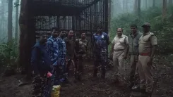 Nilgiris tiger declared man-eater after two fatal attacks near Gudalur