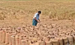 Tamil Nadu sets all-time paddy procurement record at 64.2 lakh MT in 2025-26