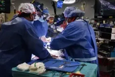 How is TN Addressing Organ Transplant Oversight?