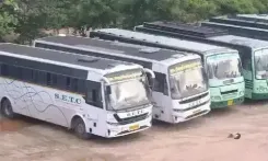 Will TN's 20 New Sleeper Buses Transform Long-Distance Travel?