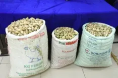 Truck with over 200 kg poppy straw seized in J&K’s Udhampur