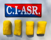 Who Were the Two Arrested in Punjab for Cross-Border Narcotics Smuggling?