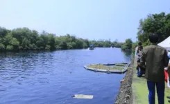 Have Two More Contractors Been Arrested in the Rs 65 Crore Mithi River Desilting Scam?