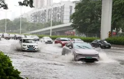 Typhoon Mitag makes landfall in south China's Guangdong