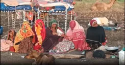 उज्जैन: 12 घंटे से बोरवेल में फंसा बच्चा, एनडीआरएफ और प्रशासन की टीमें बचाव में जुटी