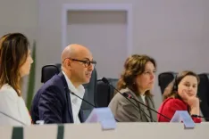 What Progress Did the UN Climate Chief Highlight at COP30?