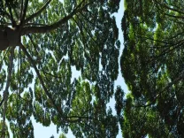 How Are Sector Leaders Proposing to Align Funding for Developing Nations at the UN Climate Summit?